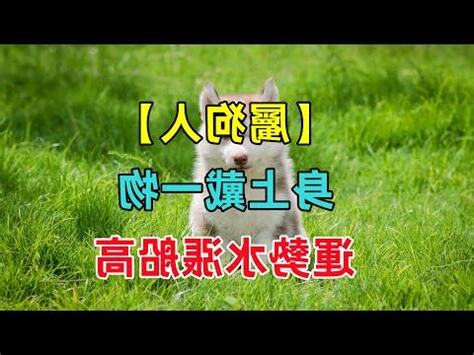 屬狗的吉祥物