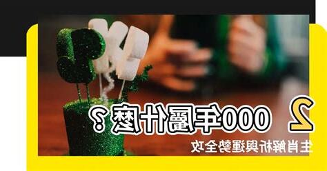 2000年屬什麼