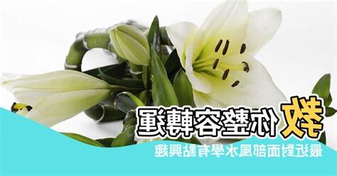 風水重要嗎