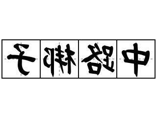 中路的意思