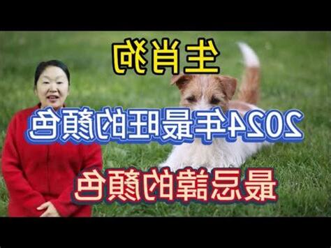 屬狗適合的生肖
