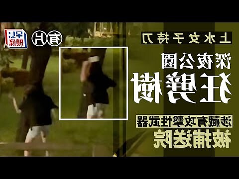 劈樹