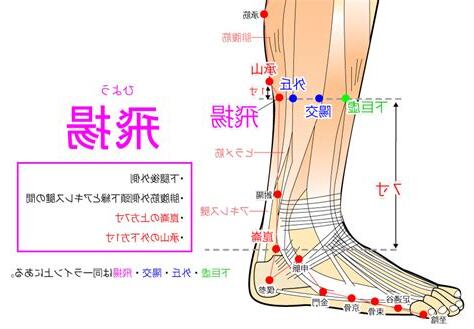 飛揚穴位置