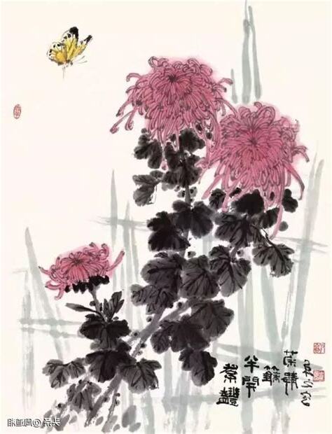 國畫菊花