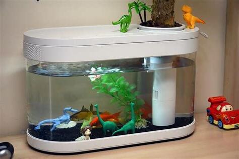 魚缸養幾隻魚