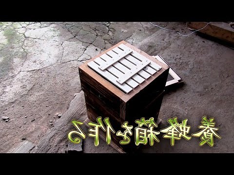 蜜蜂入宅