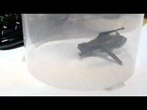 蝙蝠跑進房間
