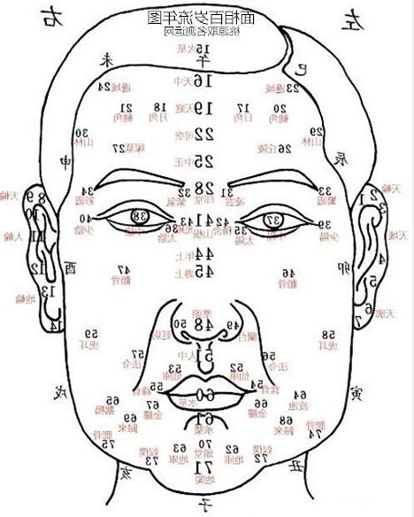 面相分析图