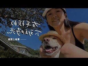 養狗的人