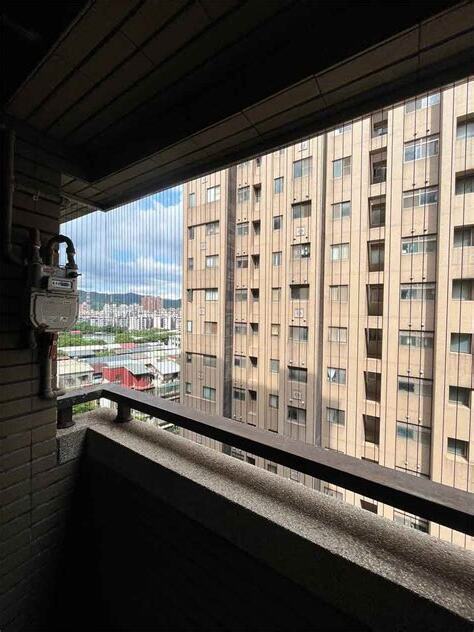 鳥停在陽台