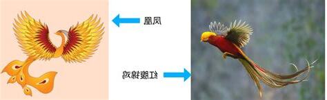 朱雀是什麼動物