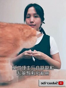 貓自己跑來