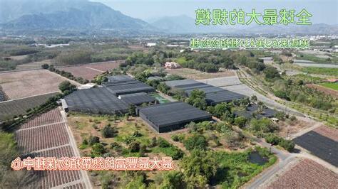 泰和龍泉墓園