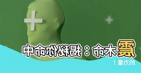 震木命