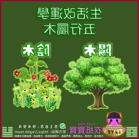 屬木的股票
