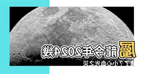 龍屬什麼