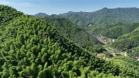 竹山秉峯