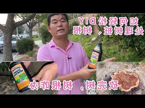 樹根清除