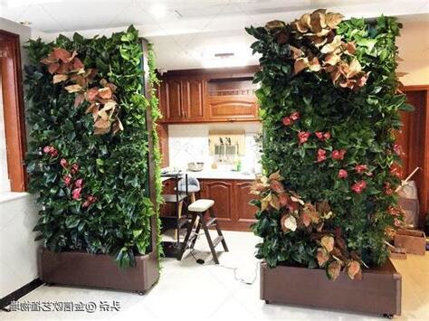 店面適合的植物