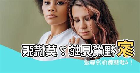 家裡發現蛇