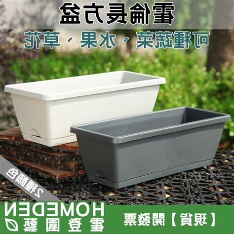 長型花盆適合種什麼