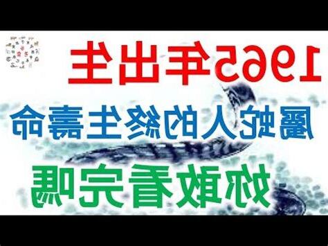65年屬什麼