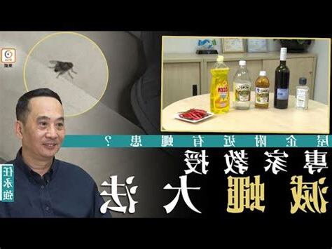 家裡有蒼蠅風水