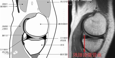 右是哪裏