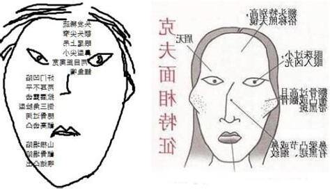 虎牙女面相