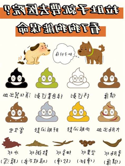 如何不讓狗來大便