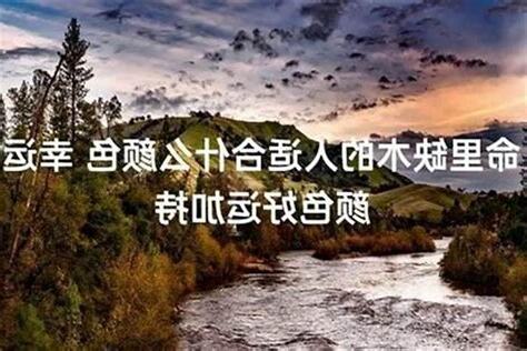 命中缺木的人