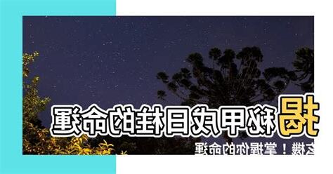 甲戍日