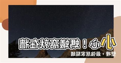 螞蟻窩在牆壁裡