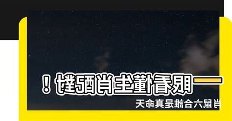 肖鼠六合