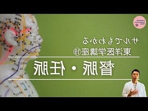 左右脈
