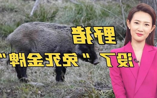 三有的意思