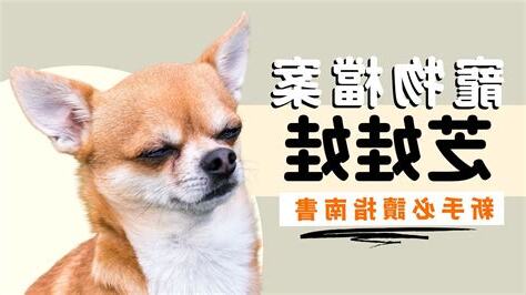 性格好