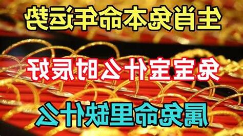 2023兔寶寶時辰