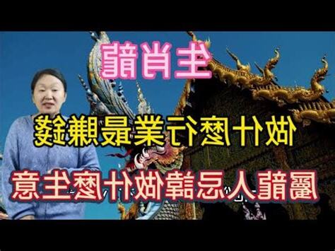 屬龍適合的工作