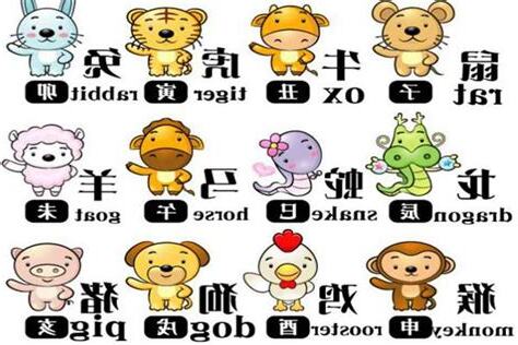 最好的生肖