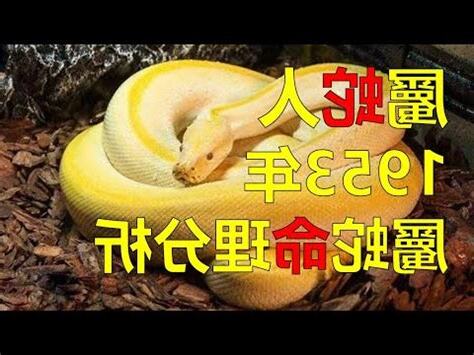 1953年農曆生肖