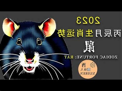 屬鼠適合方位