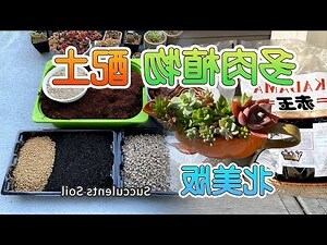 多土
