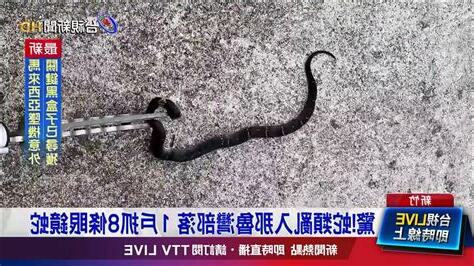 家中出現蛇