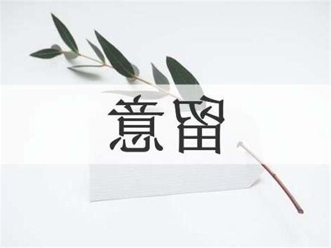 留意意思