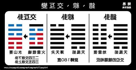 簡易易經
