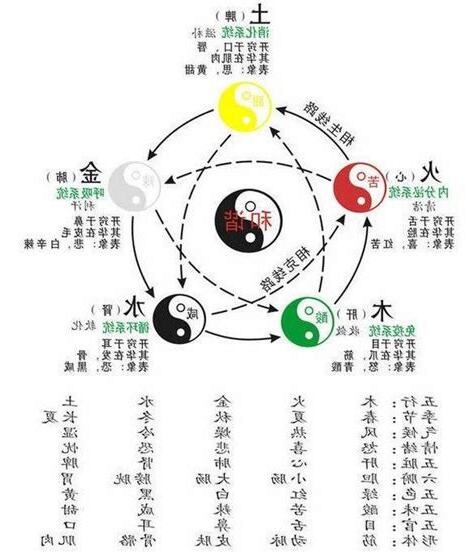 中醫基礎理論-陰陽五行