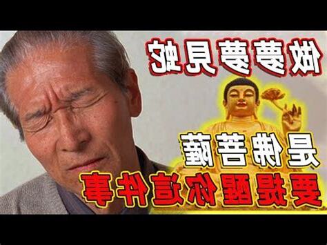 看到蛇幾號