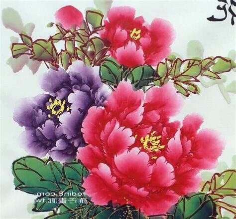 畫牡丹花