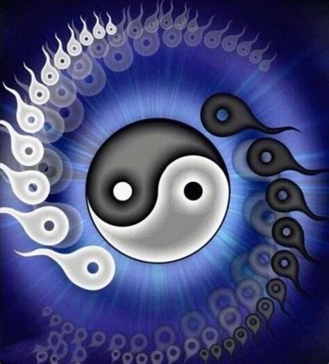 陰陽太極圖